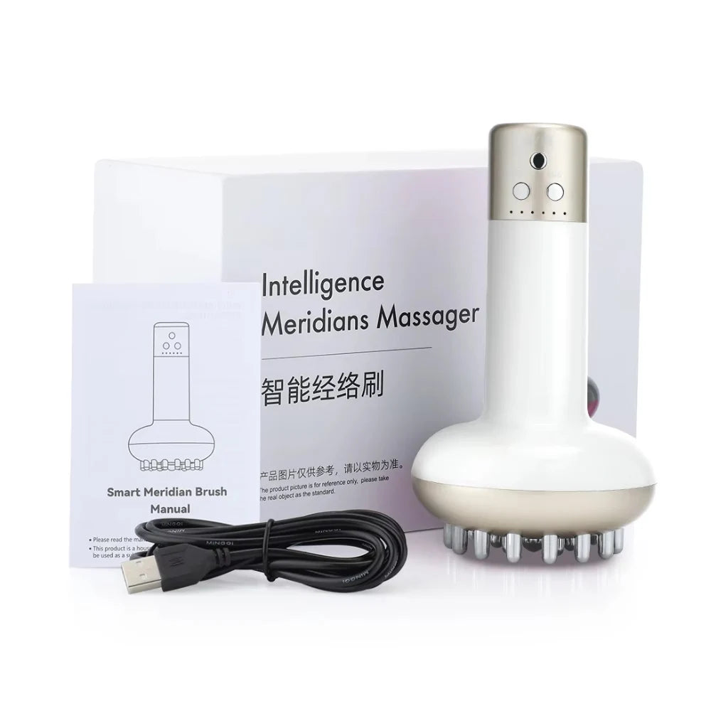 Appareil de Massage et Relaxation HOMEFISH – Soin du Corps